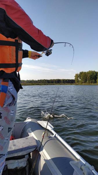 Прикрепленное изображение: fcD3sPIxIFE.jpg