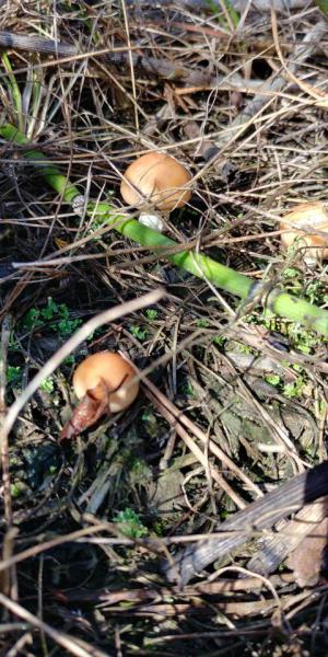 Прикрепленное изображение: 20190831_121402_HDR.jpg