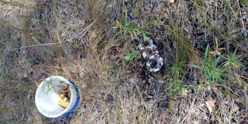 Прикрепленное изображение: 20190831_121823_HDR.jpg