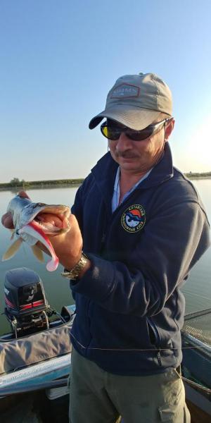 Прикрепленное изображение: 20190831_075754_HDR.jpg