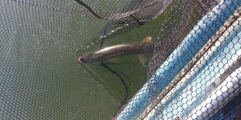 Прикрепленное изображение: 20190831_075628_HDR.jpg