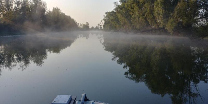 Прикрепленное изображение: 20190831_073717_HDR.jpg