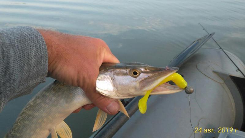 Прикрепленное изображение: P_20190824_184034_p.jpg