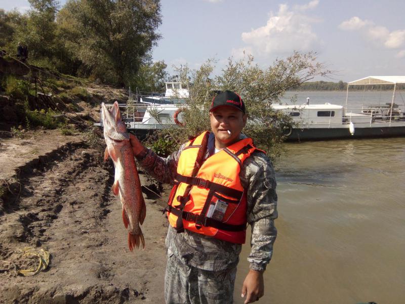 Прикрепленное изображение: IMG_20190824_140208.jpg