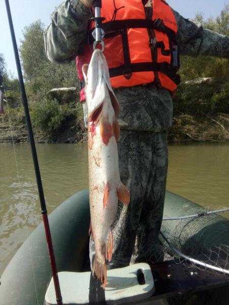 Прикрепленное изображение: IMG_20190824_113911.jpg