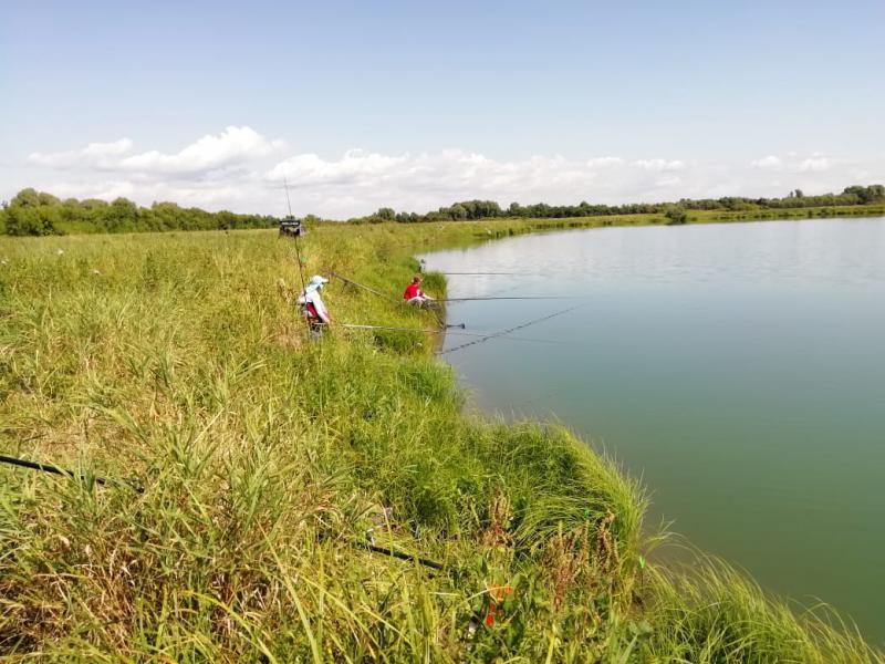 WhatsApp Image 2019-08-12 at 12..jpeg