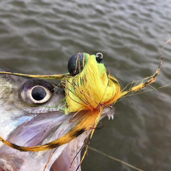 WhatsApp Image 2019-08-08 at 15.17.32.jpeg