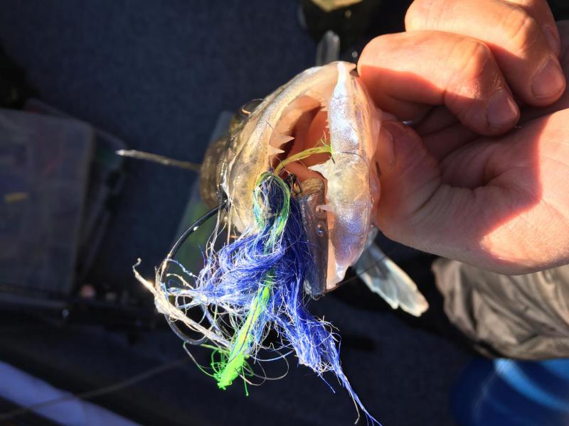 WhatsApp Image 2019-08-08 at 15.17.34(1).jpeg