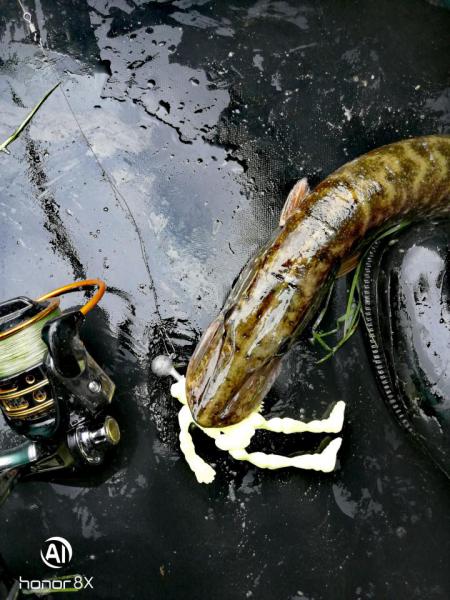 post-5805-0-35867600-1566462840_thumb.jp