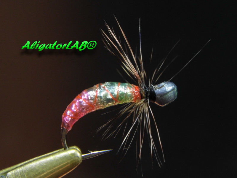 3дЭ 800 текст.jpg