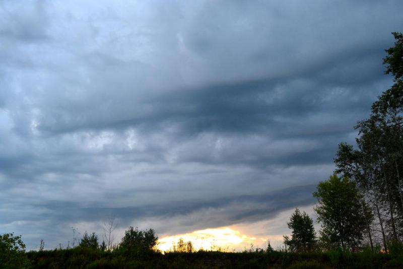 DSC_0005.JPG