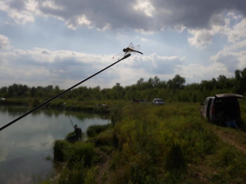 20190811_153144.jpg