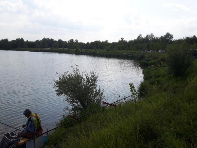 20190811_154032.jpg