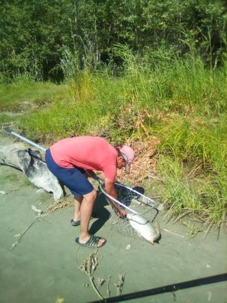 Прикрепленное изображение