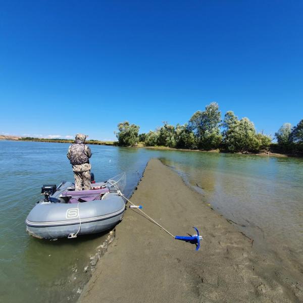 Прикрепленное изображение