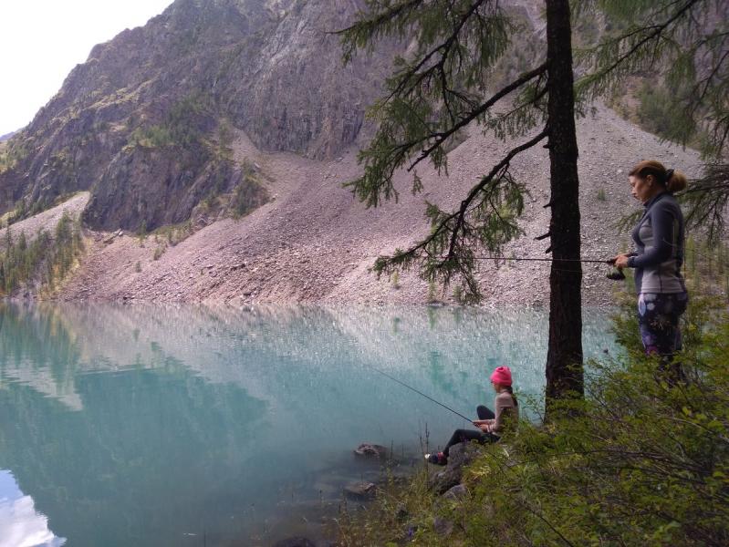Прикрепленное изображение