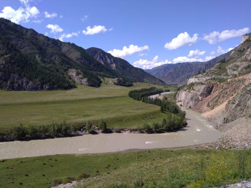 Прикрепленное изображение