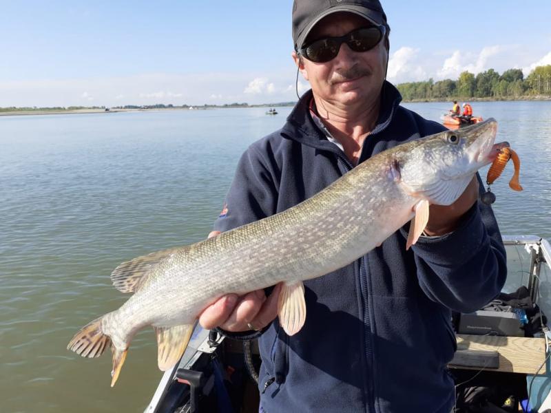 Прикрепленное изображение: IMG-20200816-WA0012.jpg