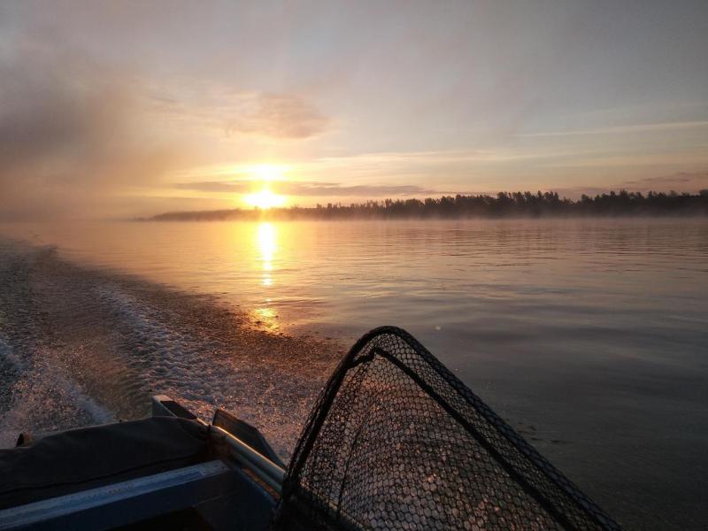 Прикрепленное изображение: IMG_20200816_062830.jpg