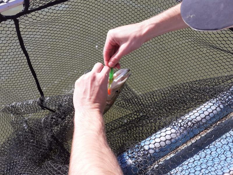 Прикрепленное изображение: IMG-20200816-WA0018.jpg