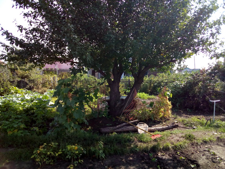 IMG_20200810_103414.jpg