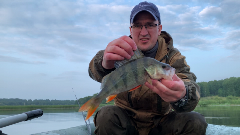 Прикрепленное изображение: Scene 0 (00.33.31.050).png