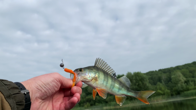 Прикрепленное изображение: Scene 0 (00.13.25.716).png