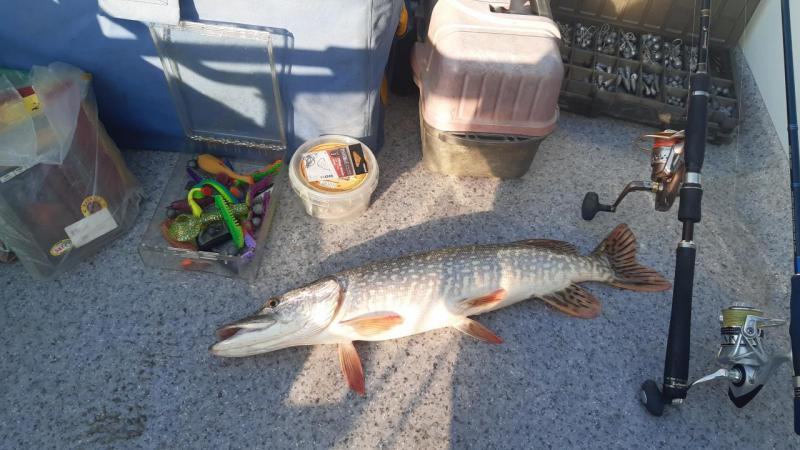 Прикрепленное изображение: 20210829_090046.jpg