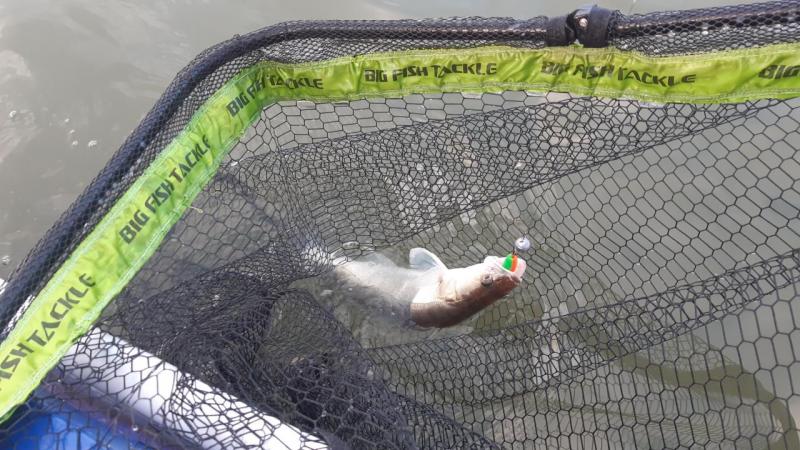 Прикрепленное изображение: 20210828_192211.jpg