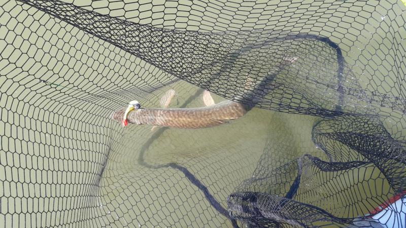 Прикрепленное изображение: 20210829_131948.jpg