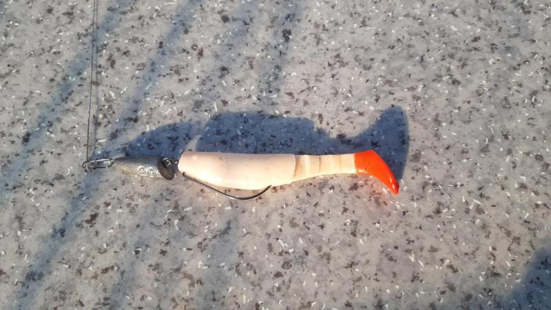 Прикрепленное изображение: 20210829_091305.jpg