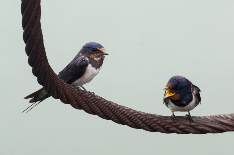 DSC_0143.jpg