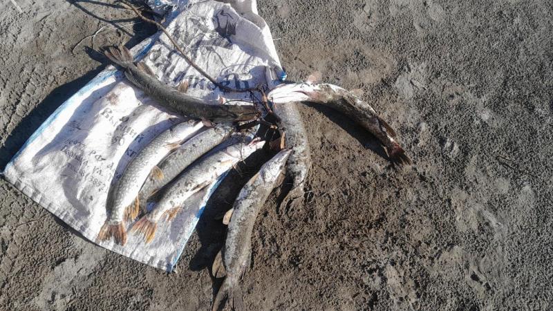 IMG-20250801-WA0022.jpeg