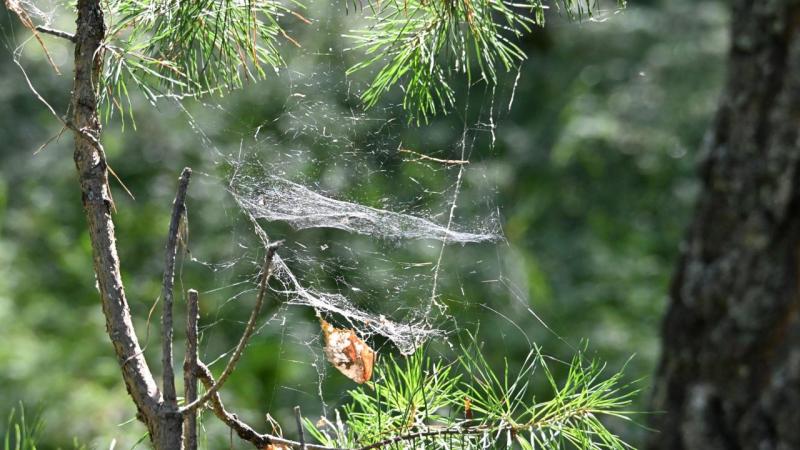 DSC_3983.JPG