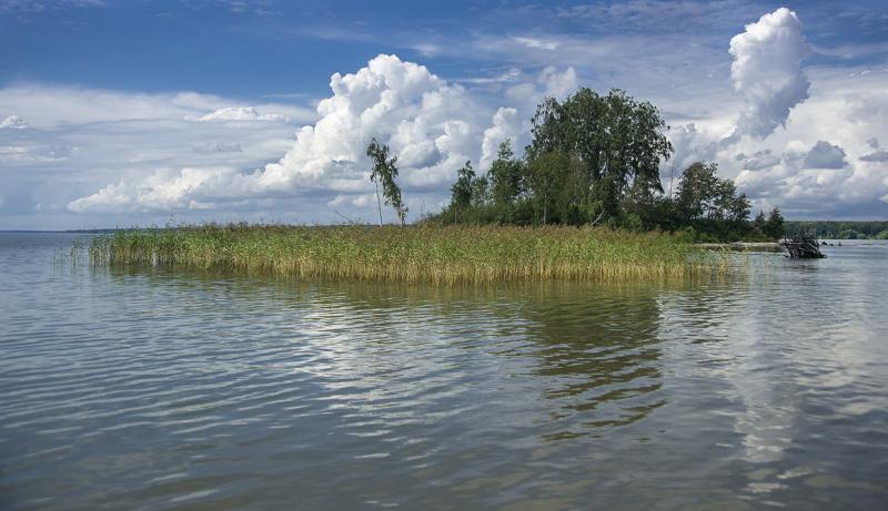 DSC03364ааа.jpg