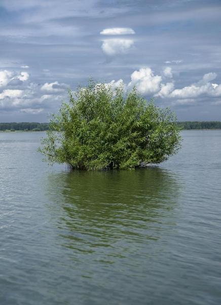DSC03375ааа.jpg