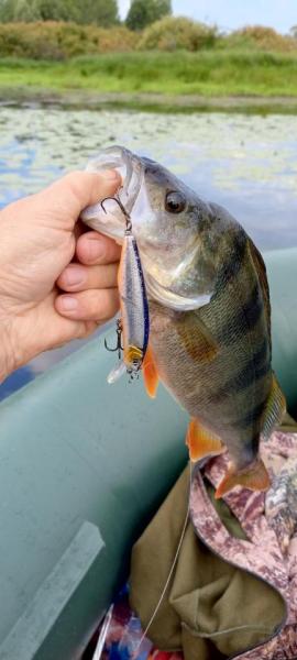 IMG_20250816_083947_687.jpg