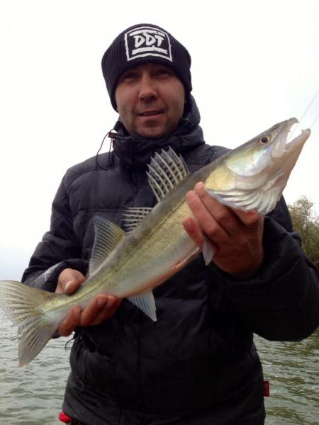 Прикрепленное изображение