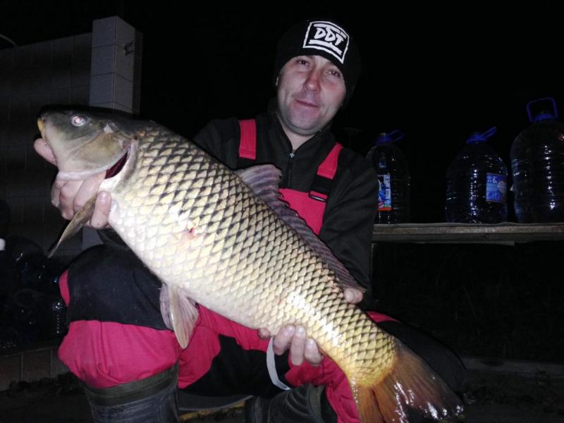 Прикрепленное изображение