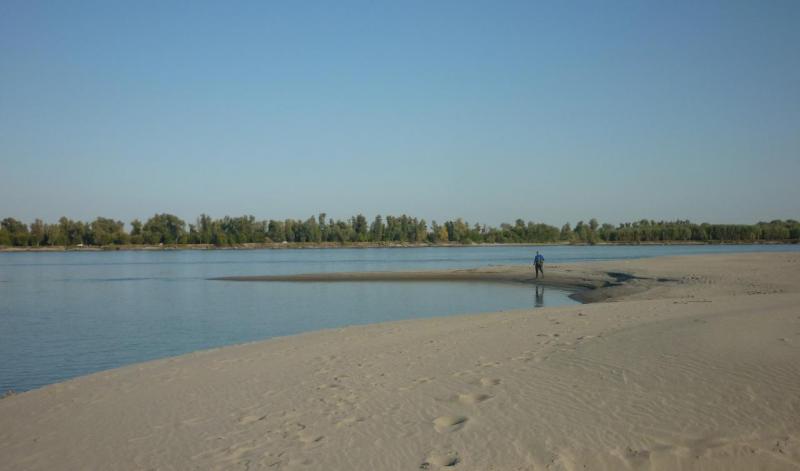 Прикрепленное изображение