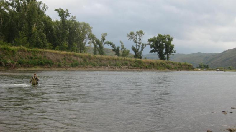 Прикрепленное изображение