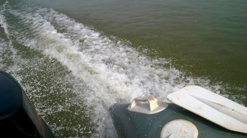 Прикрепленное изображение