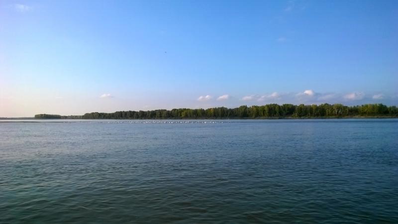 Прикрепленное изображение