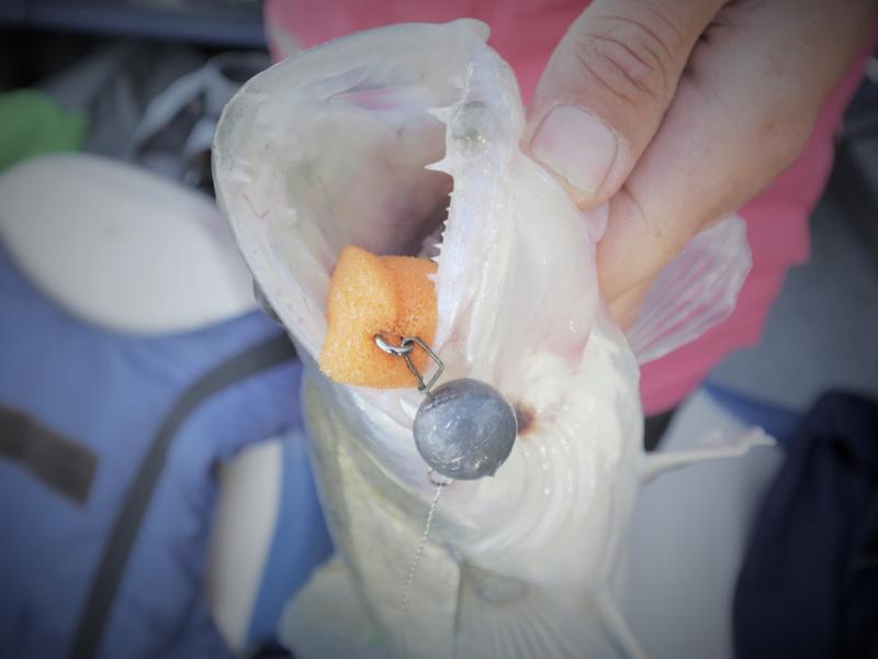 Прикрепленное изображение