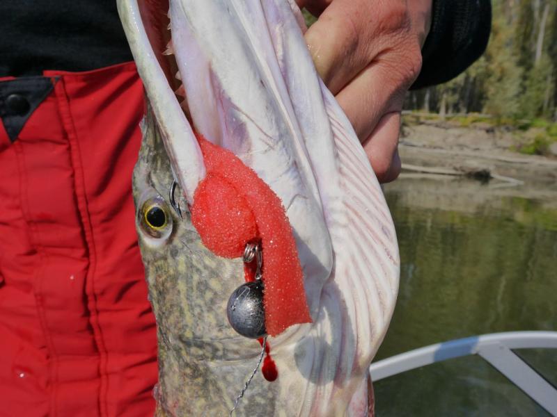 Прикрепленное изображение