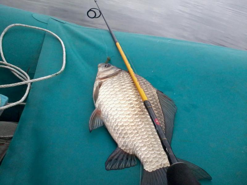 Прикрепленное изображение