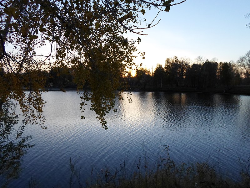 Прикрепленное изображение