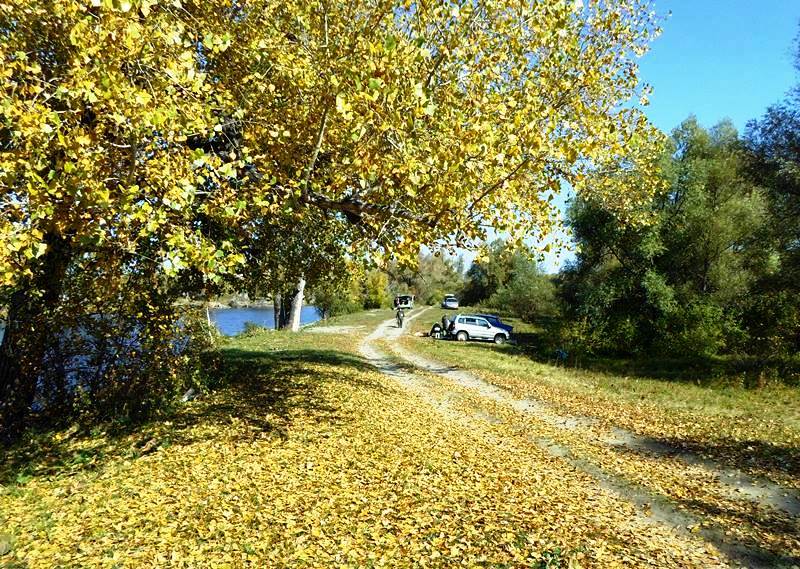 Прикрепленное изображение