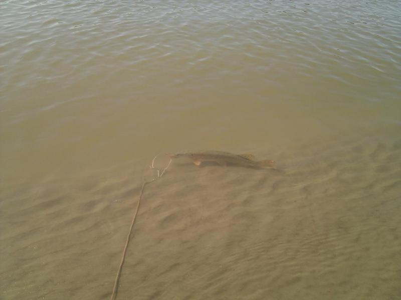 IMG-1409986390504-V.jpg