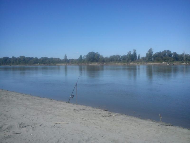 DSC00003.JPG